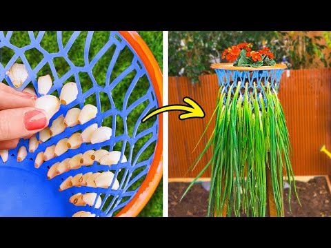 Easy Gardening Hacks for Beginners! 🌱 Grow a Beautiful Garden Indoors & Outdoors