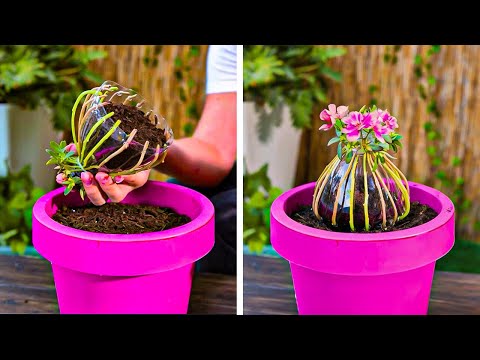 Treat your Garden Like a Boss! Smart hacks for everyone