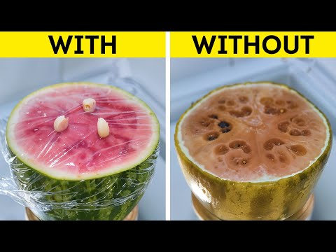 Food preservation Ways to Keep your Products Fresh longer