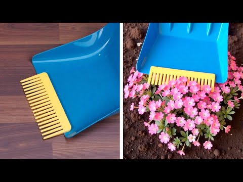 Clever Garden hacks for Plant lovers and Big Harvest