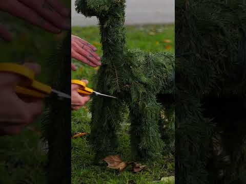 Cool idea for a natural Christmas decoration🎄🦌