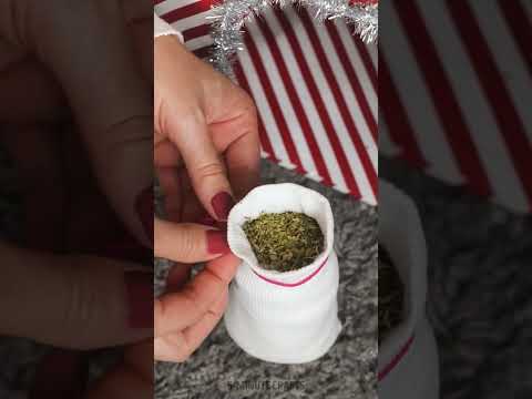 Christmas gift for your loved pet 🐈🎁🎄