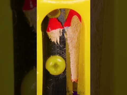 A New Level of Macro Filming! 📹