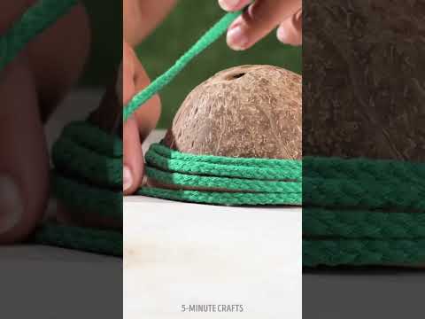 A unique musical instrument made out of a coconut! SOUND ON 🔊