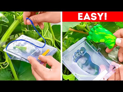 Smart ideas to make your Plant Happy! Garden hacks for beginners and Profi