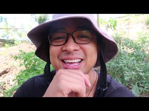 What would you do if you had a million dollars right now?