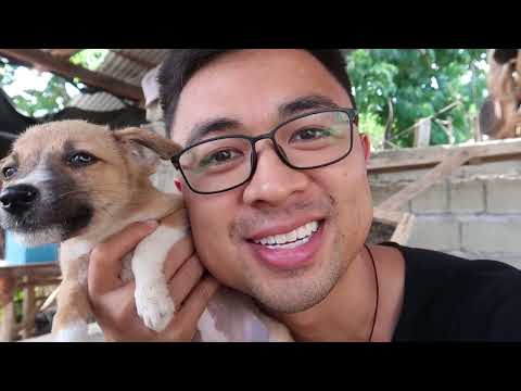 What's an underrated hobby/thing to do to escape life hardships?