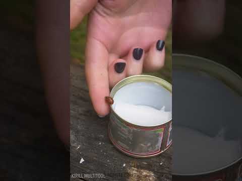 He’s a Survival Pro! 🔥 Wild Hacks You Need to Know! 🌿