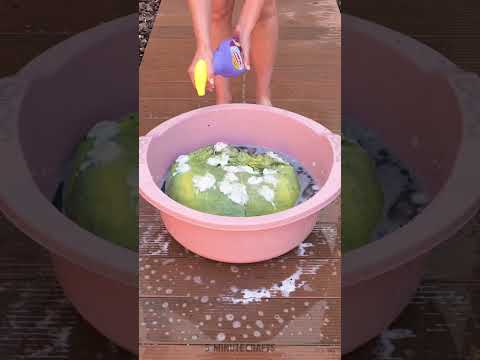 Saved this toy from the streets! Guess its colour after the rough wash!! 💦