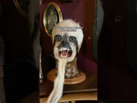 witchy London travel tips! 😍 #londontravel