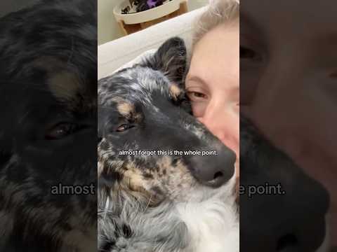 almost forgot this is the whole point #shorts