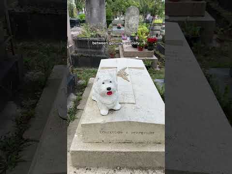 we all do this when we travel… right? 😅 #cemeterylovers