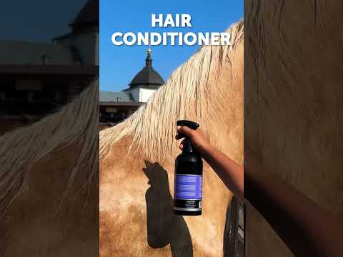 What a marvellous sight! 🐴 Horse Tender Love and Care ASMR 😍