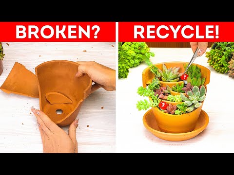 From Trash to Bloom: Genius Garden Hacks Using Everyday Waste! 🌱♻️