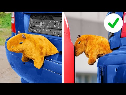 Cool Car hacks and Crafts you need to know to be an Excellent Driver