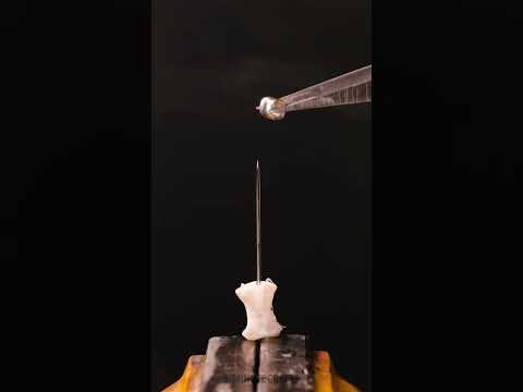 Jewelry so simple, anyone can do it 🎨💍