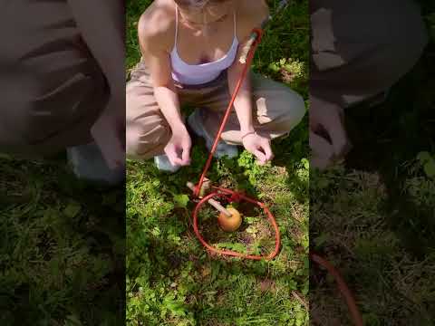 When You Only Have a Rope and an Apple 🍏🪤Primitive Fruit Trap