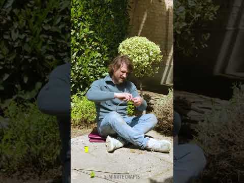 Smart Survival Hacks That Could Save a Life ❤️🛠️