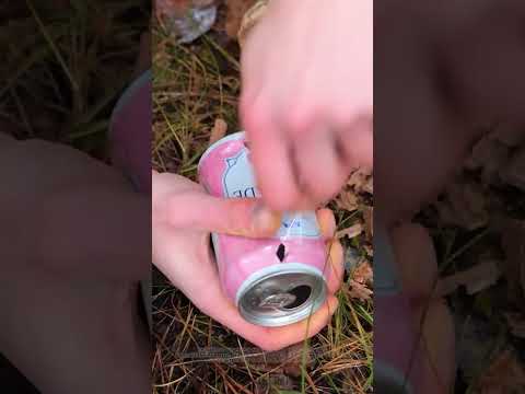 Use this trick to get rid of disgusting insects 🦟