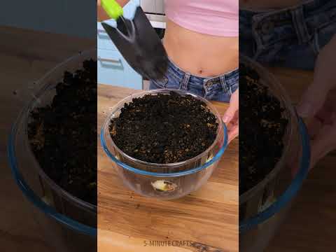 Budget-friendly garden tips for every season 🌻💵