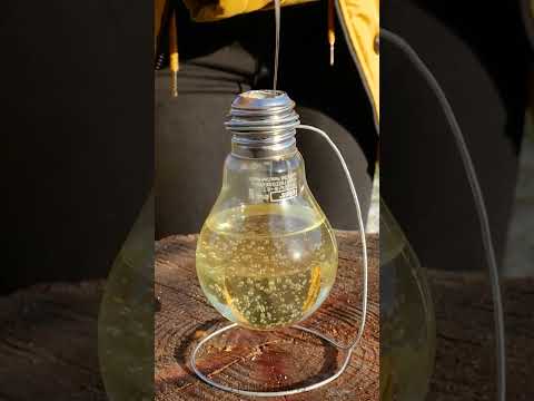 Light Bulb Upcycled into a Camping Lantern 🕯️