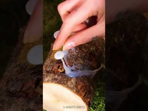 Nature's Handcraft Magic 🧚‍♂️🌿 Lamp on a Log