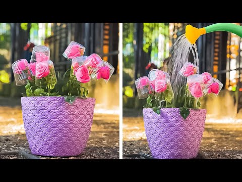 Plants and Flowers Growing hacks. Make your Garden Blossom again!