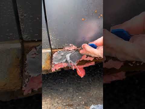 Quick car fix before selling! 🚗💸