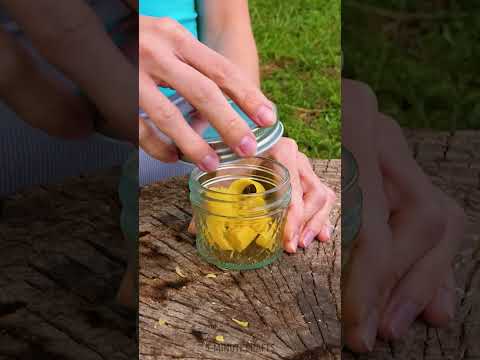 Smart Soap Storage for Camping 🧼🏕️