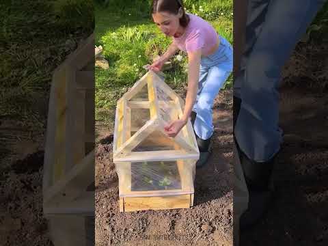 Clever gardening hacks to save your weekend ⛏️🌸