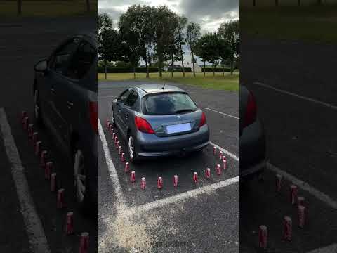 When your parking skills are at the 1000 level 😎