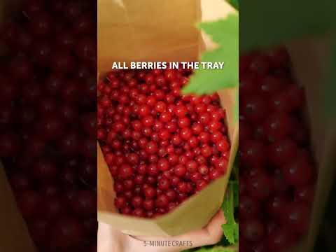 Plant growing secrets that will make you a pro gardener 🤫