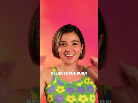 Why Aloe Vera Deserves a Spot in Your Daily Routine 🌱✨