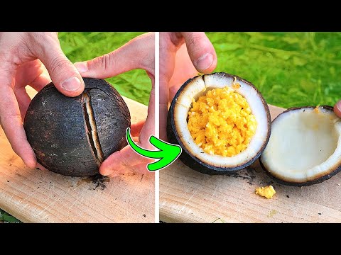 Wild Cooking Hacks You’ll Love! 🍳🔥 Genius Ideas for Outdoor Meals