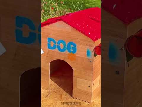 Recycled Doghouse: Cozy Shelter from Trash ♻️