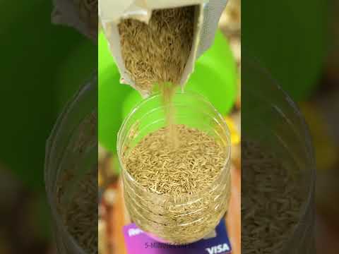 Make a new garden in a blow💨🍃