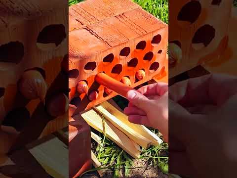 The best way to roast sausages over a campfire!