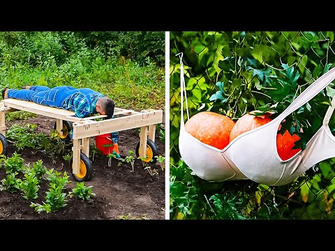 Grow your Own Paradise! Make your Plants Bloom