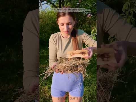 How to Start a Fire Without Tools 🔥 Stay Warm & Dry in the Wild 🌲