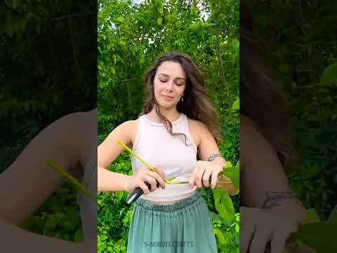 Toothpaste you can easily make in nature 🦷