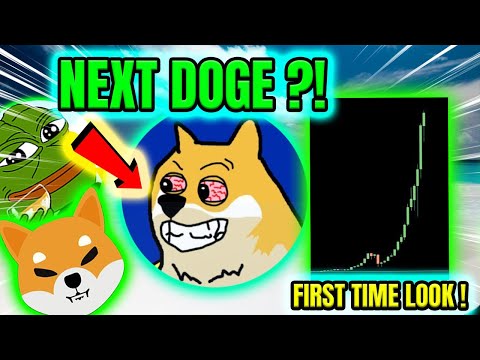 THIS *NEW* MEMECOIN JUST LAUNCHED! 🔥FIRST TIME LOOK !!!! 🔥 NEXT DOGE ?!