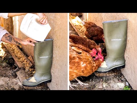 Mini Home Farms, Ratproof feeders, Nests,Caring tips