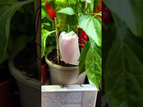 Garden hacks and gadgets 🌱