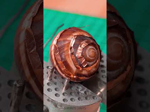 From nature to an awesome necklace piece 🐚