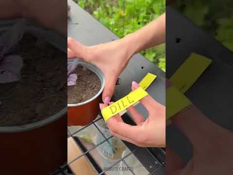 Don't Toss Those Torn Rubber Gloves! Here's How to Repurpose Them!