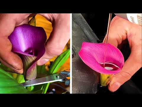 Smart Emergency hacks and Tools for Car