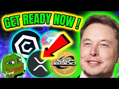 BEST ALTCOINS TO BUY BEFORE THE NEXT BULL RUN! 🐂💰 PEPE XRP CRONOS AND MORE !