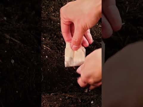 Money Saving Plant Care Secrets Every Gardener Needs 🌱