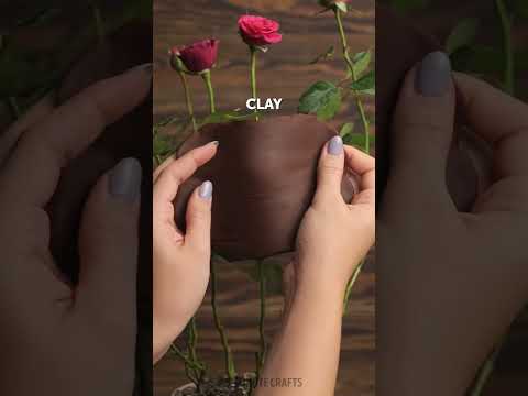 New Gardening Hacks To Learn Before Harvest Season 🌱