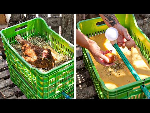 DIY Mini Home Farms, Feeders, Chicken coops